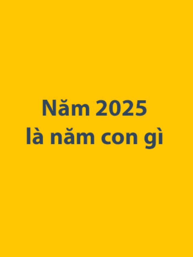 Năm 2025 là năm con gì