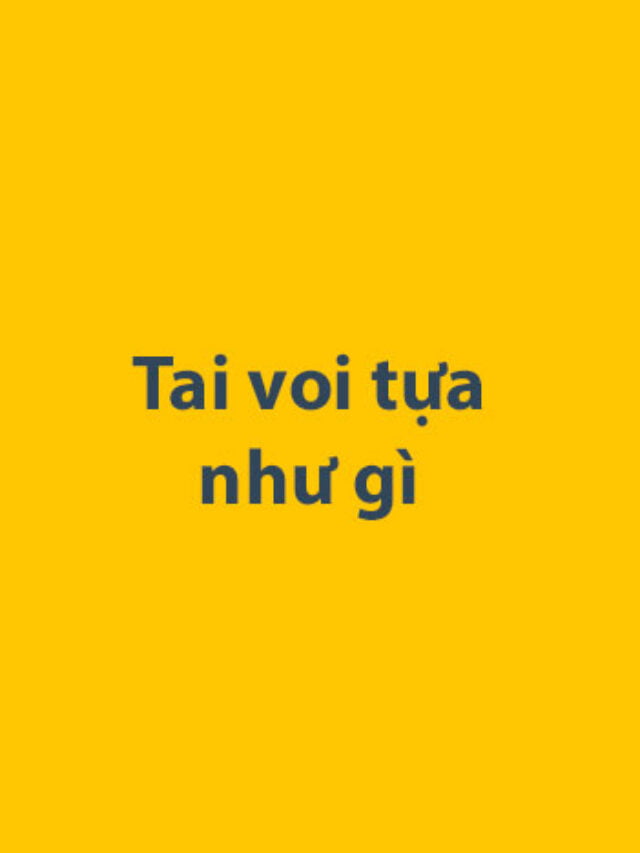 Tai voi tựa như gì