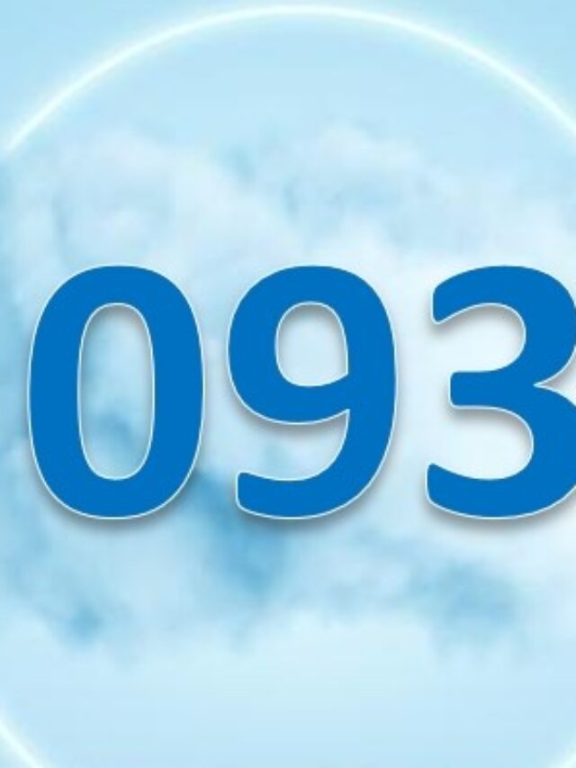 093 là mạng gì
