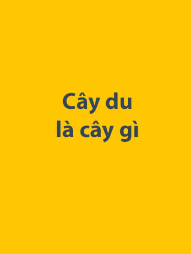 Cây du là cây gì