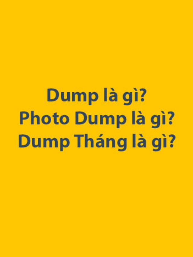 Dump là gì? Photo Dump là gì? Dump Tháng là gì?