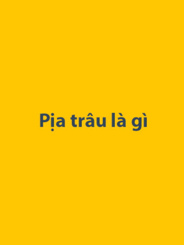 Pịa trâu là gì