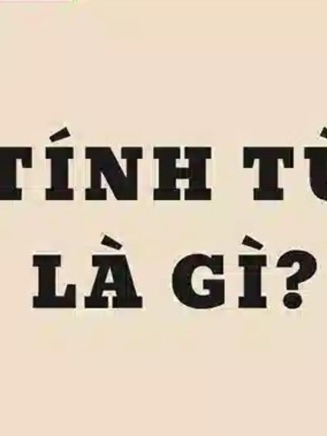 Tính từ là từ chỉ gì lớp 4?